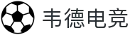 韦德电竞 - 韦德精神，电竞传承